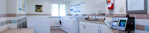 Mountain View on-site laundry room in Collingwood, ON