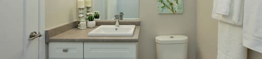 Northgate Towers modern bathroom in Woodstock, ON