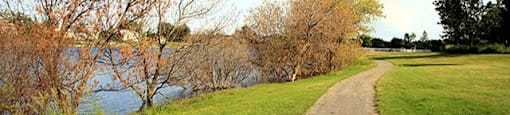 Park in Bellville, ON