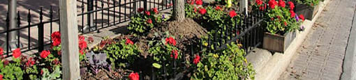 Bird friendly landscaping with flowers and trees along a path in Collingwood, ON