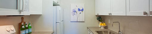 Mountain View Modern Kitchen facing a painting of a flower. On both sides are counter tops and cupboards, with a stove, sink, and fridge in view in Collingwood, ON