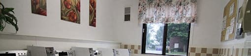 Chestnut Court shared laundry room