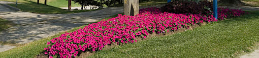 Outdoor recreational activities available nearby