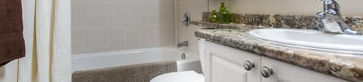 Citadel in North Vancouver, BC Bathroom with mirrored cabinets