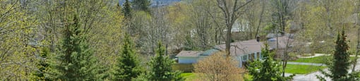 Regency Towers view of tree filled area from balcony in Owen Sound, ON