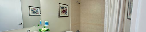 Shannon Towers in Collingwood, ON bathroom with hard surface flooring and tub shower