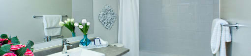 Springbank Apartments in London, ON bathroom with full sized bathtub