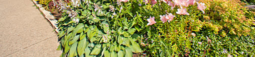 St. Lawrence Village in St. Catharines, ON Flowers outside of Rental Office