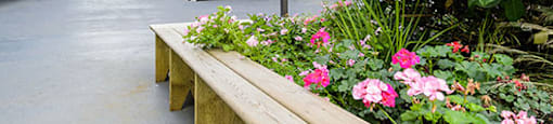 Surrey Village in Surrey, BC landscape on property grounds