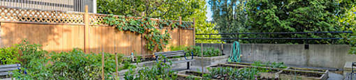 Surrey Village in Surrey, BC patio and community garden for resident use
