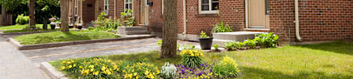 Tamarack Woods Several townhouse exteriors next to each other with neatly clipped green grass and lush trees in Barrie, ON