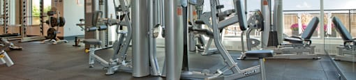 The Taunton in Oakville, ON fitness facility equipped with weights