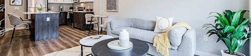 A modern living room with a grey couch and two round coffee tables with a kitchen in the background in a 2 bedroom 2 bathroom variation C layout at Vale Station Apartments in Waterloo, Ontario