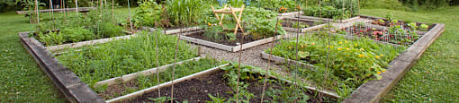 Waverly Place community garden in St. Catharines, ON