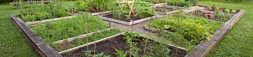 Squire Court community garden in St. Catharines, ON