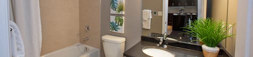 Juliana Place Apartments bathroom featuring tub shower in Woodstock, ON