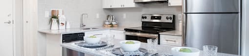 Wesley Place in Vancouver, BC Modern kitchen with stainless steel appliances