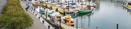 Waterfront view close to Yello On Yates in Victoria, BC