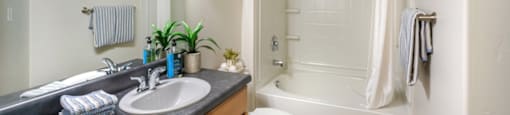 Bathroom with Soaking Tub at San Moritz