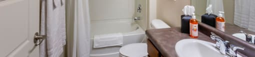 San Moritz Airbnb Bathroom