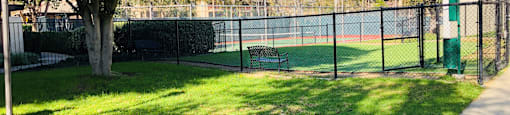 A tree is in the corner of a grassy area.