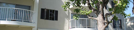 A tree in front of a white building with balconies.
