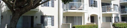 A tree in front of a white building with balconies.