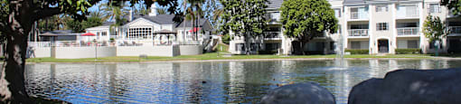 A serene lake surrounded by trees and houses.