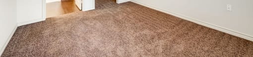 A room with a ceiling fan and carpeted floor.