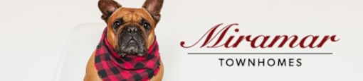 A dog wearing a red and black checkered scarf sits on a white chair.