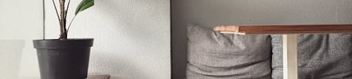 A potted plant sits on a table next to a couch with a grey pillow.