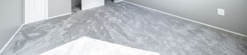 a bedroom with grey walls and white carpet