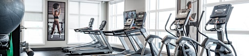 A gym with treadmills and exercise balls.