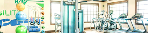 a gym with a lot of exercise equipment and a mural on the wall