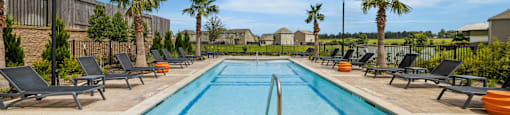 A large outdoor swimming pool surrounded by lounge chairs and palm trees.