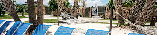 a row of blue chaise lounges on the beach with palm trees in the background