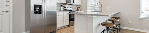 Stainless Steel Kitchen Appliances