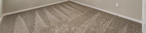 A room with a ceiling fan and carpeted floor.