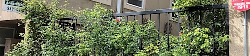 a gate with bushes coming through