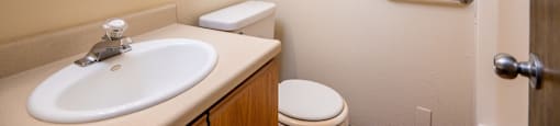a bathroom with a sink and toilet and a mirror