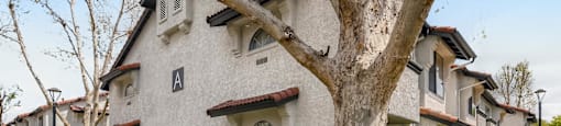 building View with tree at Azul Apartments, California, 92545