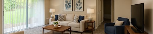 A living room with a couch, chair, and television.
