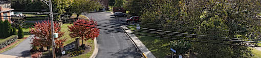 A street view with a yellow line on the road.