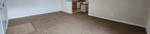 A spacious room with a carpeted floor and a kitchenette in the background.