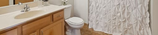 a bathroom with a shower curtain and a sink and a toilet