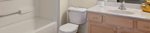 a bathroom with a sink and a shower and a mirror