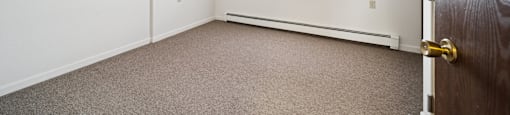 A room with a brown carpet and a window showing a building outside.