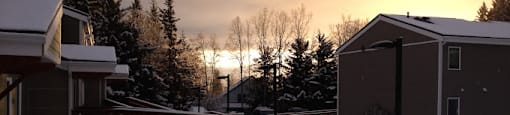 a snow covered yard with a bench at Conifer Woods Apartments, Homer, 99603
