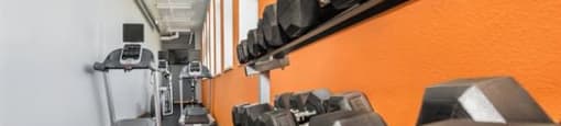 Weights at Boston Lofts, Milwaukee, WI
