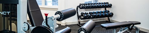 a fitness room with weights and a row of exercise machines